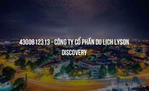 4300812313 cong ty co phan du lich lyson discovery 40834