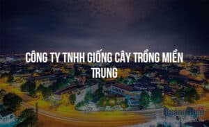 cong ty tnhh giong cay trong mien trung 7041