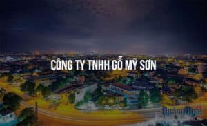 cong ty tnhh go my son 2237