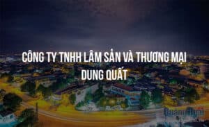 cong ty tnhh lam san va thuong mai dung quat 2529