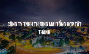 cong ty tnhh thuong mai tong hop tat thanh 12143