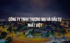 cong ty tnhh thuong mai va dau tu nhat viet 4383