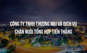 cong ty tnhh thuong mai va dich vu chan nuoi tong hop tien thang 12135