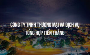 cong ty tnhh thuong mai va dich vu tong hop tien thang 12046