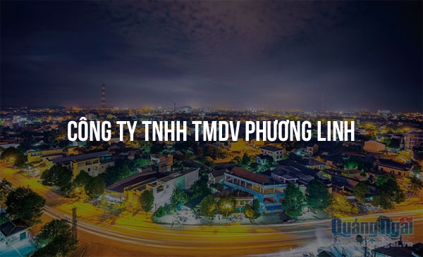 Công Ty TNHH Tmdv Phương Linh