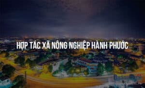 hop tac xa nong nghiep hanh phuoc 3206