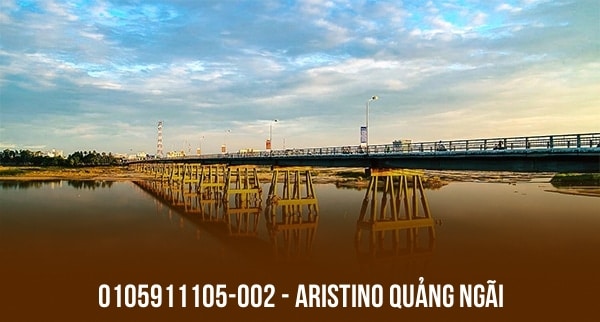 0105911105-002 – ARISTINO QUẢNG NGÃI