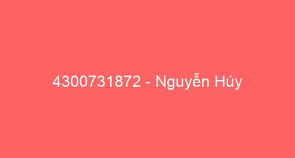 4300731872 – Nguyễn Húy