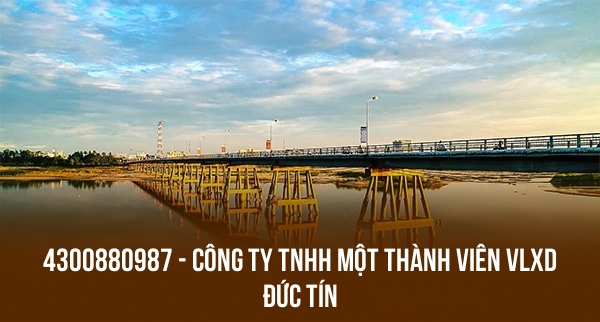 4300880987 – CÔNG TY TNHH MỘT THÀNH VIÊN VLXD ĐỨC TÍN