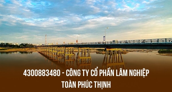 4300883480 – CÔNG TY CỔ PHẦN LÂM NGHIỆP TOÀN PHÚC THỊNH