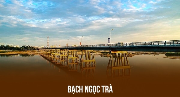 BẠCH NGỌC TRÀ