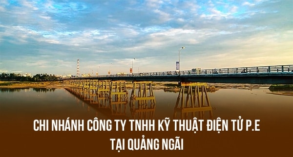 Chi Nhánh Công Ty TNHH Kỹ Thuật Điện Tử P.E Tại Quảng Ngãi