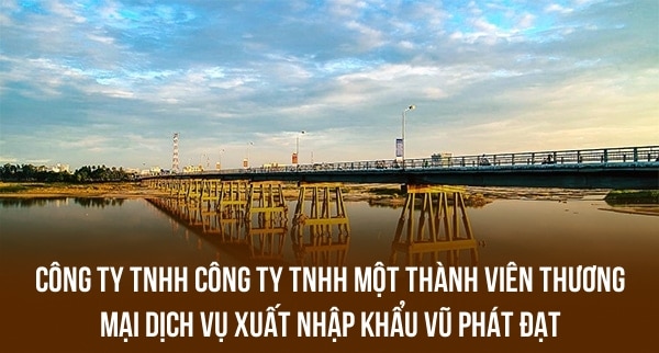 CÔNG TY TNHH CÔNG TY TNHH MỘT THÀNH VIÊN THƯƠNG MẠI DỊCH VỤ XUẤT NHẬP KHẨU VŨ PHÁT ĐẠT