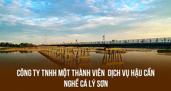 CÔNG TY TNHH MỘT THÀNH VIÊN  DỊCH VỤ HẬU CẦN NGHỀ CÁ LÝ SƠN