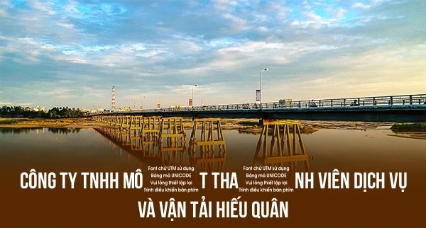 Công Ty TNHH Một Thành Viên Dịch Vụ Và Vận Tải Hiếu Quân