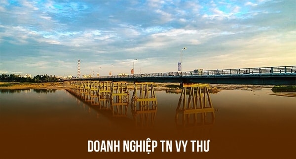 Doanh Nghiệp TN Vy Thư