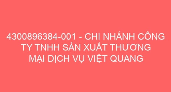 4300896384-001 – CHI NHÁNH CÔNG TY TNHH SẢN XUẤT THƯƠNG MẠI DỊCH VỤ VIỆT QUANG